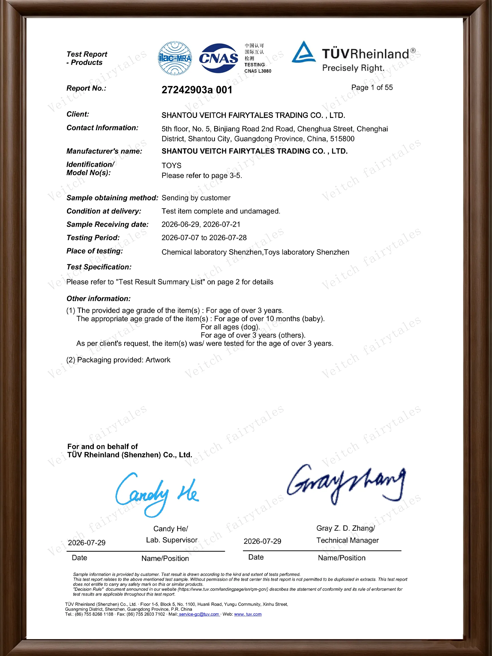 EN71 BS EN71 EN62115 Test Report